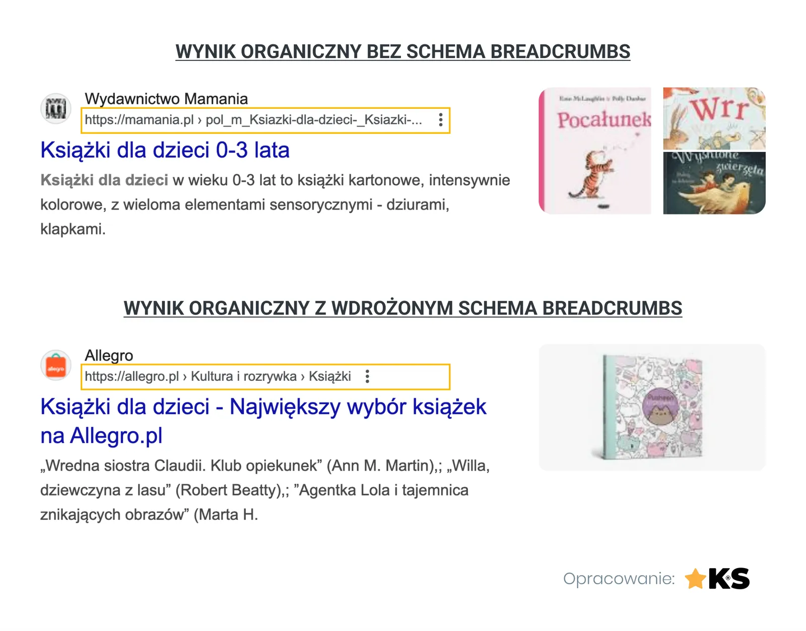 Przykład wyniku rozszerzonego z wyszukiwarki Google