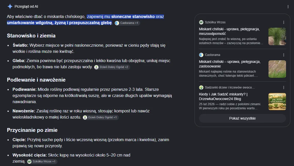AI overview - przykład