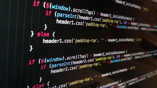 Software house SEO pozycjonowanie