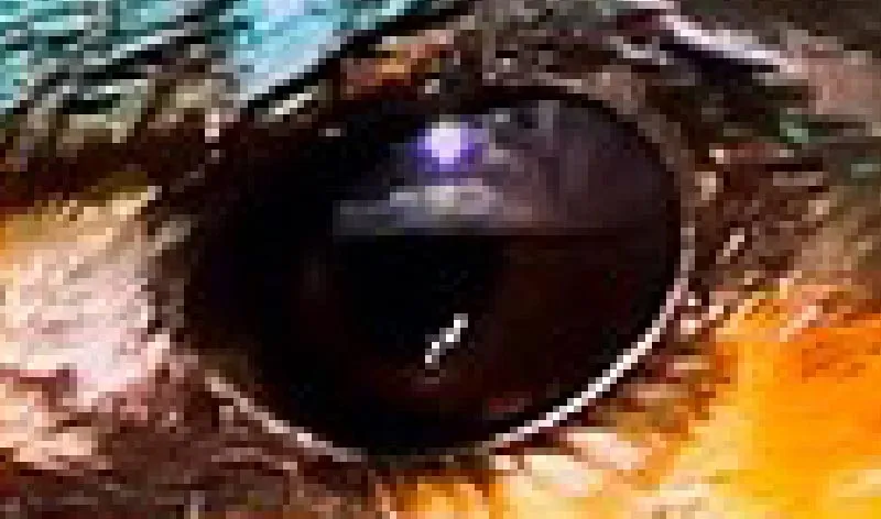 lossy compression example